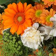 Florist&#39;s Choice Posy Arrangement