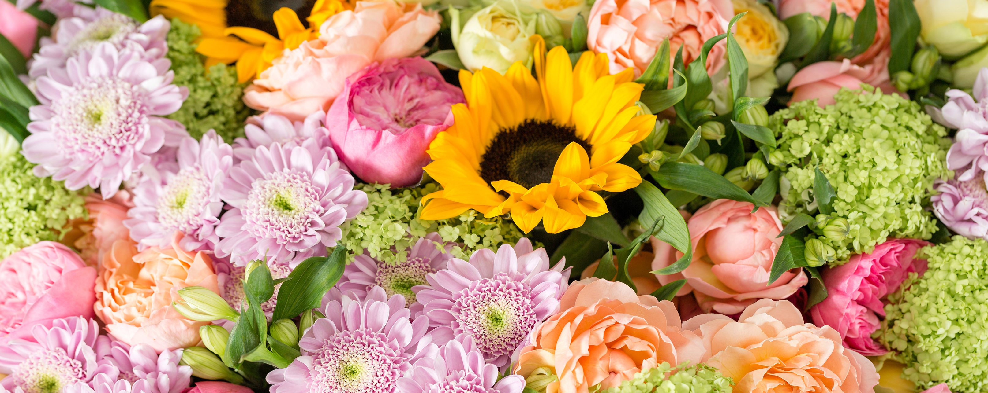 Seasonal Flowers